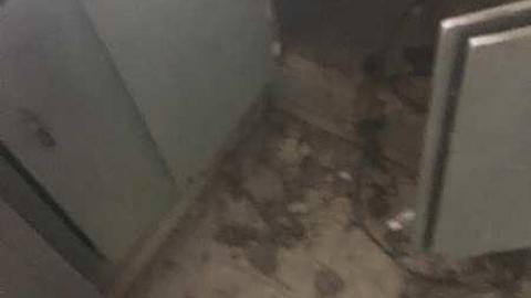 Camp Tinglewood Day trip - Camp-Tillingwood32.jpg