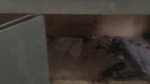 Camp Tinglewood Day trip - Camp-Tillingwood5.jpg