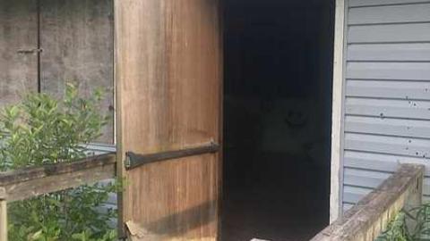 Camp Tinglewood Day trip - Camp-Tillingwood1.jpg