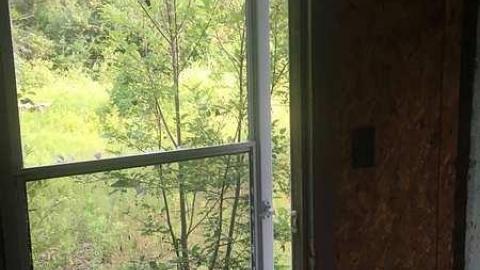 Camp Tinglewood Day trip - Camp-Tillingwood30.jpg