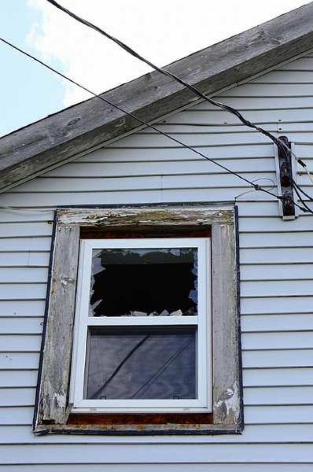 Lots of Thistles photo 2