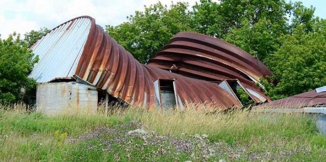 Lots of Thistles photo 3