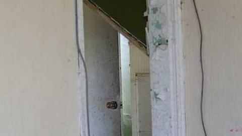 lots of thistles - JJN_3528a1024.jpg