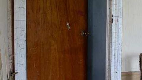 lots of thistles - JJN_3529a1024.jpg