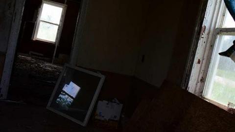 lots of thistles - JJN_3531a1024.jpg