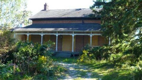 Fired - Pass-the-Scotch1.jpg