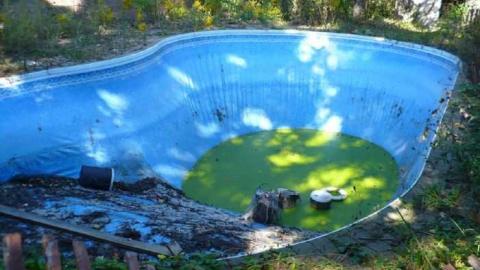 Fired - Pass-the-Scotch6.jpg