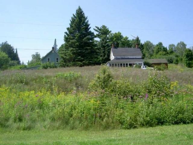 Robertsville Ghost Town photo 4