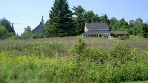 Robertsville Ghost Town photo 4