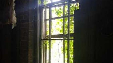 August 2017 - Parish-Remains35.jpg