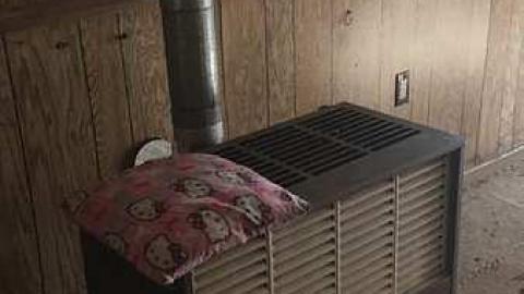 Death by Ouija - IMG_7603.jpg