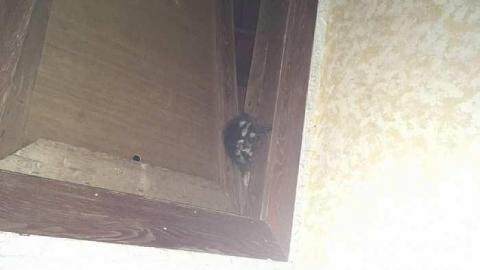 Death by Ouija - IMG_7627.jpg