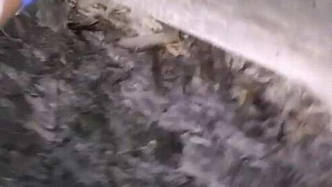 Small country shack - Trent Hills, Ontario