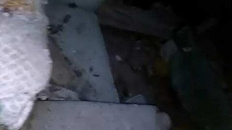 Small country shack photo 2