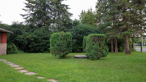 Red Bungalow - IMG_1690.jpg