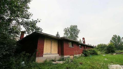 Red Bungalow - IMG_1684 edit.jpg