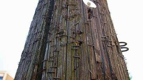 F.J. Donevan - Dr.-F.J.-Donevan-Collegiate48.jpg