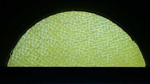 Wish Upon A Star '17 - John-Wright-House33.jpg