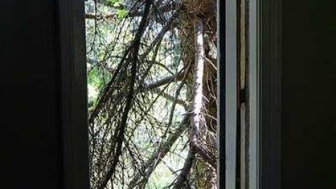 Wish Upon A Star '17 - John-Wright-House49.jpg