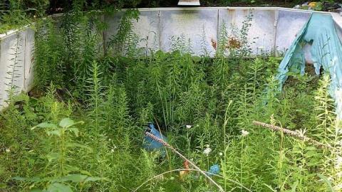 Wish Upon A Star '17 - John-Wright-House58.jpg