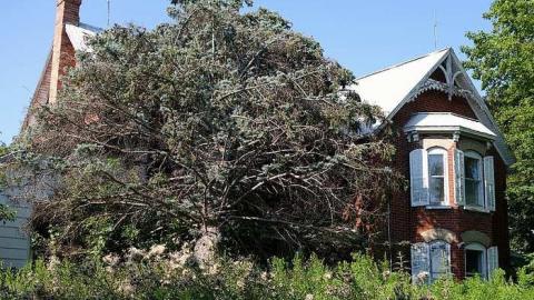 Photo from Wish Upon A Star '17