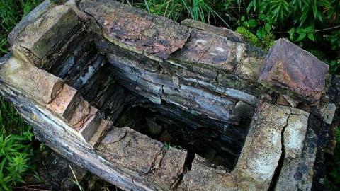 Boarded and Burned Exterior - chimney edit.jpg