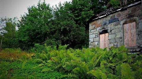 Photo from Boarded and Burned Exterior