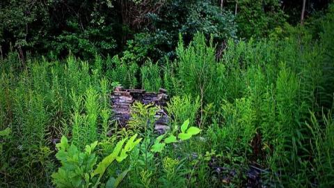 Photo from Boarded and Burned Exterior