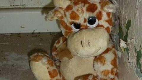 Wright or Wrong - John-Wright-House87.jpg