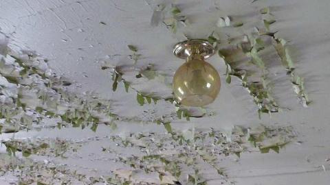 Wright or Wrong - John-Wright-House94.jpg