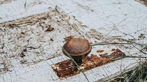 2017-08-10 - bandos-46.jpg