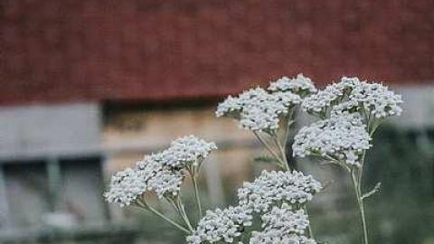 2017-08-10 - bandos-47.jpg