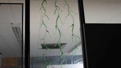 A Sad Ending - Dr.-F.J.-Donevan-Collegiate56.jpg