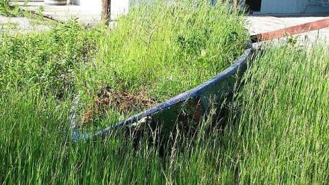 Canal Relic - gl3.jpg