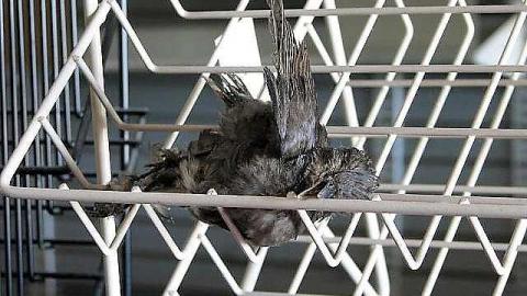 Wheelhouse - Fifth-Wheel51.jpg