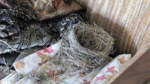 Never Assume - 8.jpg