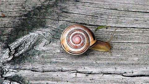 Never Assume - 51.jpg