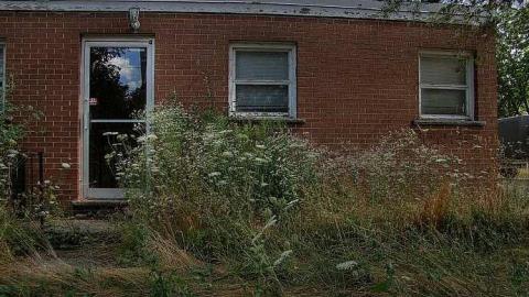 Hubba-Hubba - 3a.jpg