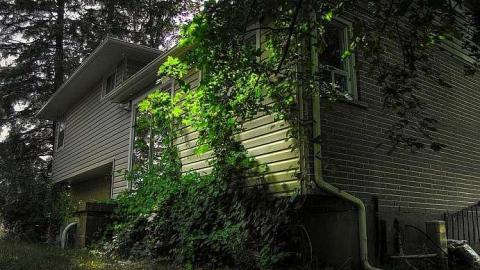 Hubba-Hubba - 6b.jpg