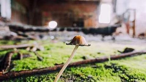 Burwash - Burwash-Correctional-Prison495.jpg