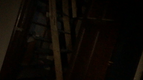 Abandoned terrifying house - Paddock-Farm7.PNG