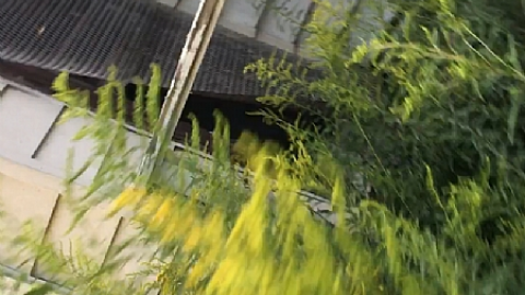 Abandoned terrifying house - Paddock-Farm5.PNG