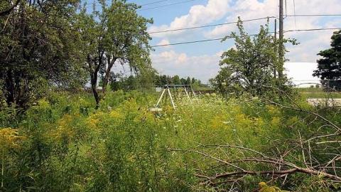 House Graveyard - IMG_1827.jpg