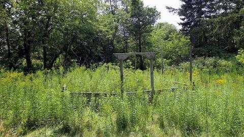 House Graveyard - IMG_1823.jpg