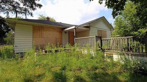 House Graveyard - IMG_1822.jpg