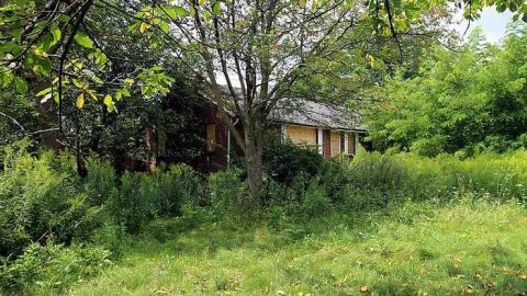 House Graveyard - IMG_1807.jpg