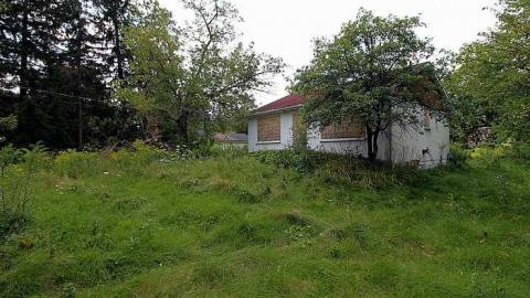 House Graveyard - IMG_1806.jpg