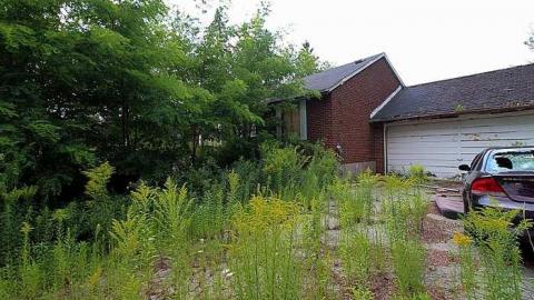 House Graveyard - IMG_1803.jpg