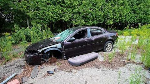 House Graveyard - IMG_1800.jpg