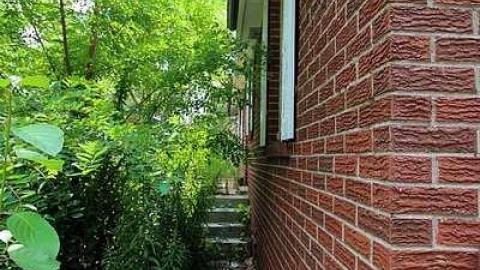 House Graveyard - IMG_1799.jpg